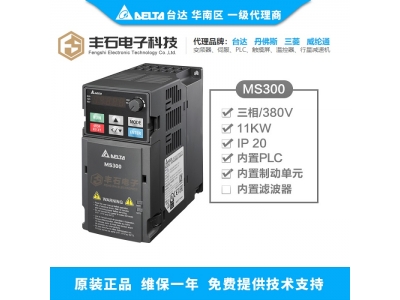 智能制造時(shí)代—隆重推出精巧標(biāo)準(zhǔn)型矢量控制臺(tái)達(dá)變頻器MS300系列